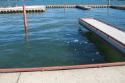 Photo: B003, Boat Slips