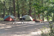 Photo: 015, Thompson Falls