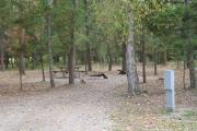 Photo: 020, Beavertail Hill Campground