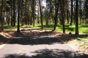 Photo: 032, Upper Loop