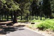 Photo: 036, Upper Loop