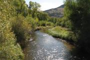 Photo: BANNACK