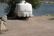 Photo: 011, Black Sandy Campground