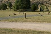 Photo: D004, Loop D