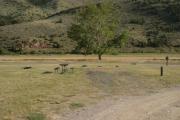 Photo: D007, Loop D