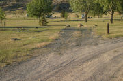 Photo: E004, Loop E
