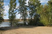 Photo: C002, Cottonwood