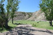 Photo: 005, Cains Coulee