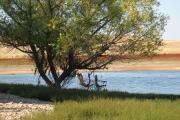 Photo: TONGUE RIVER