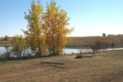 Photo: PW006, Pee Wee South