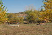 Photo: PW019, Pee Wee South